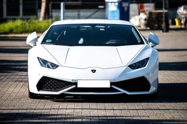 Dogs Fortune Casino Android/iOS App